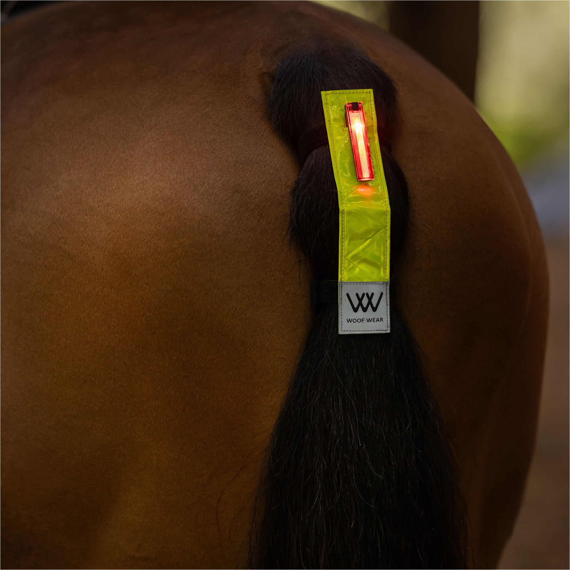 2025 Woof Wear LED Hi Vis Tail Light WS0051 - Hi Viz Yellow